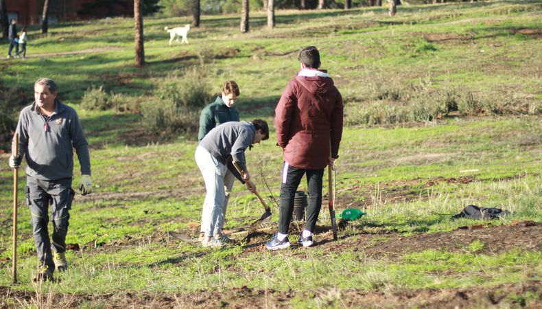 Reforestación2