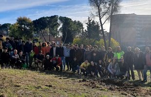 Los colegiales del Aquinas participaron en la reforestación de la Dehesa de la Villa
