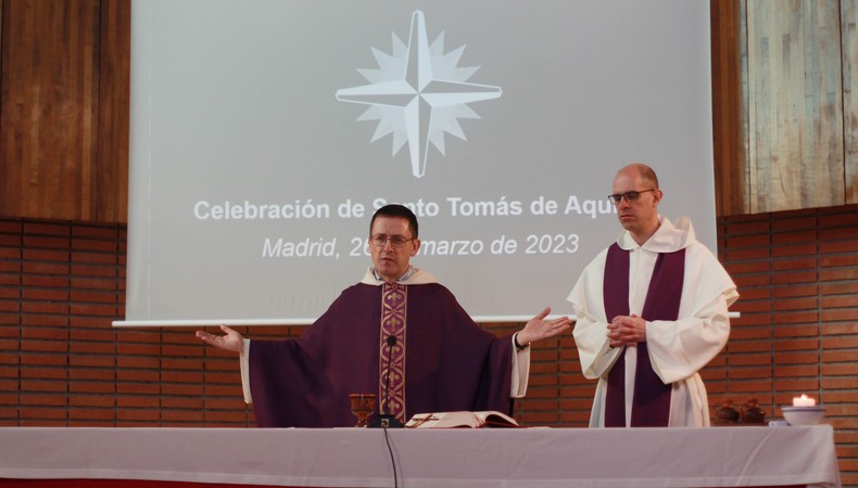 Tomas23-1 Tomas23-1