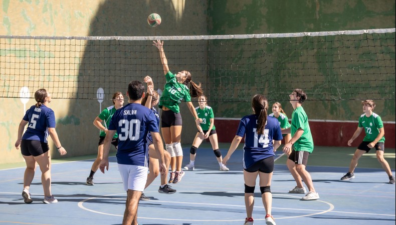 Torneo Frassati. Curso 2025-2026. 1